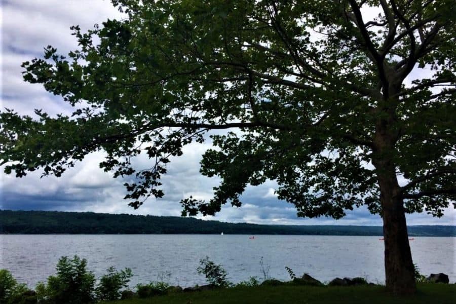 cayuga lake watkins glen state park