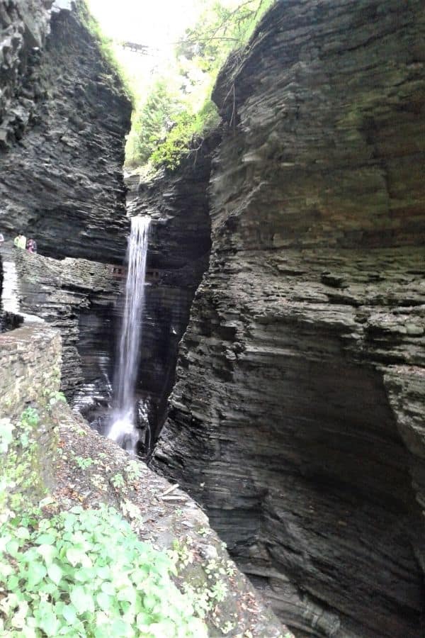 watkins glen ny