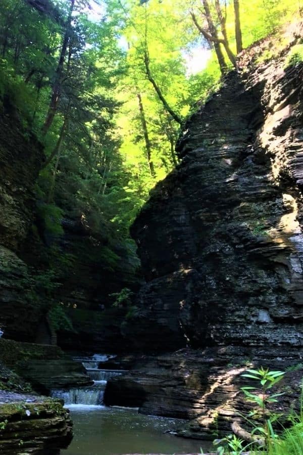watkins glen state park new york