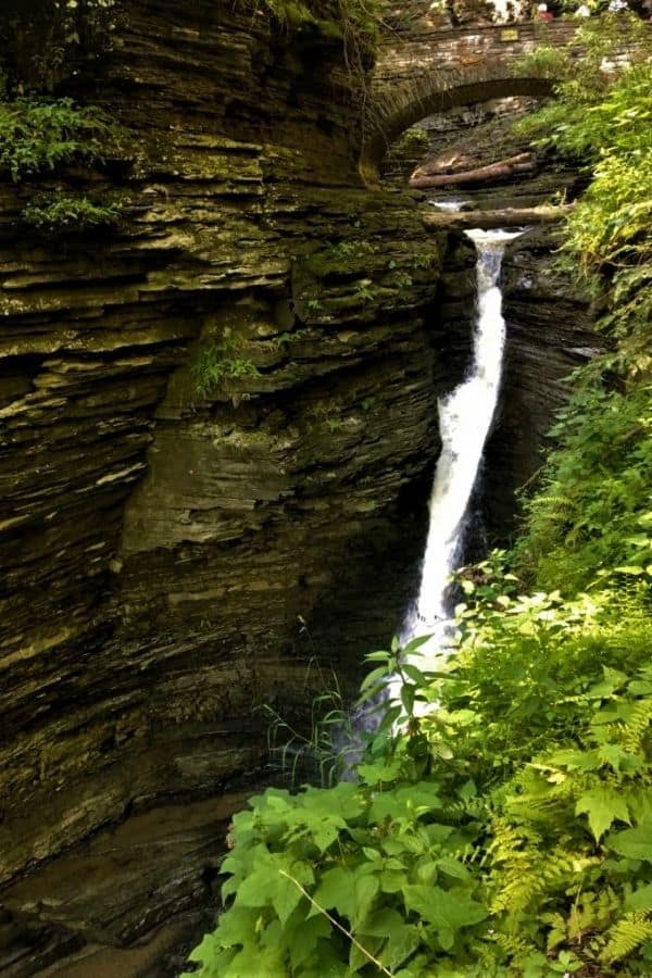 watkins glen waterfall