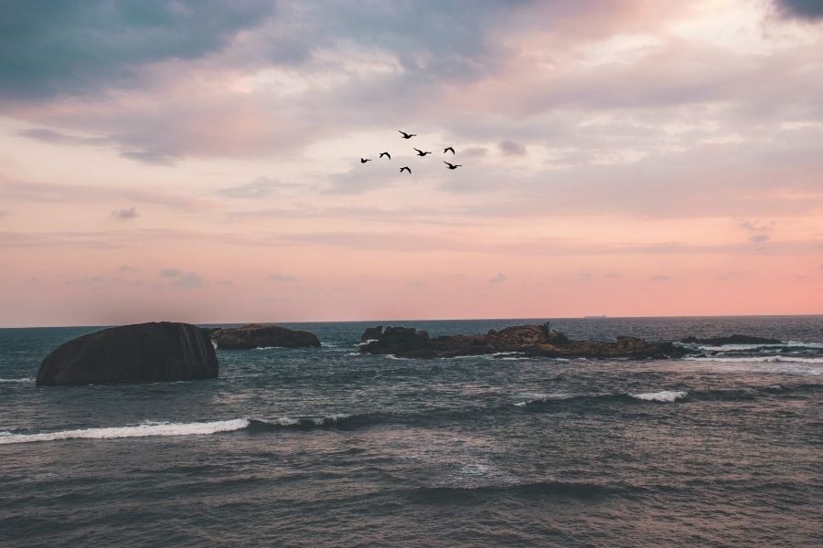 what to do in galle beach
