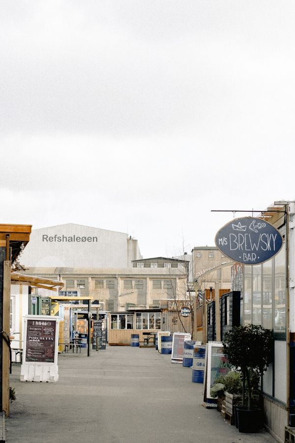 A First Timers Travel Guide To Visiting Copenhagen
