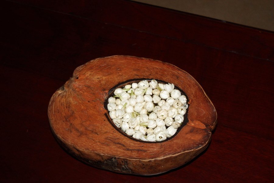Coconut shell vase at Greenwoods Thekkady