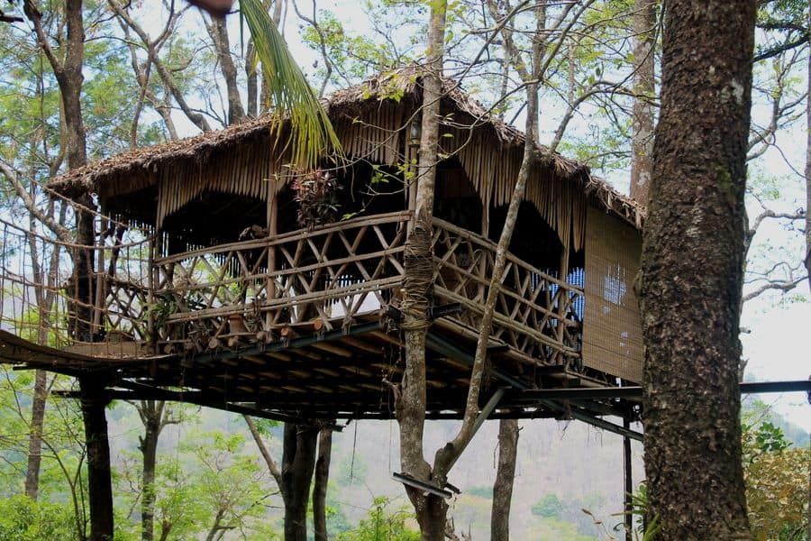 greenwoods resort thekkady treehouse