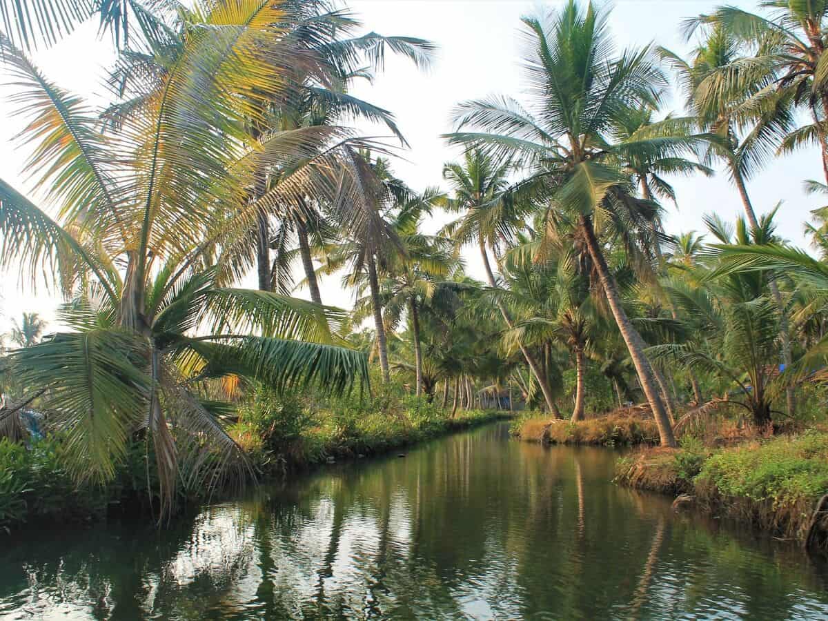 Munroe island