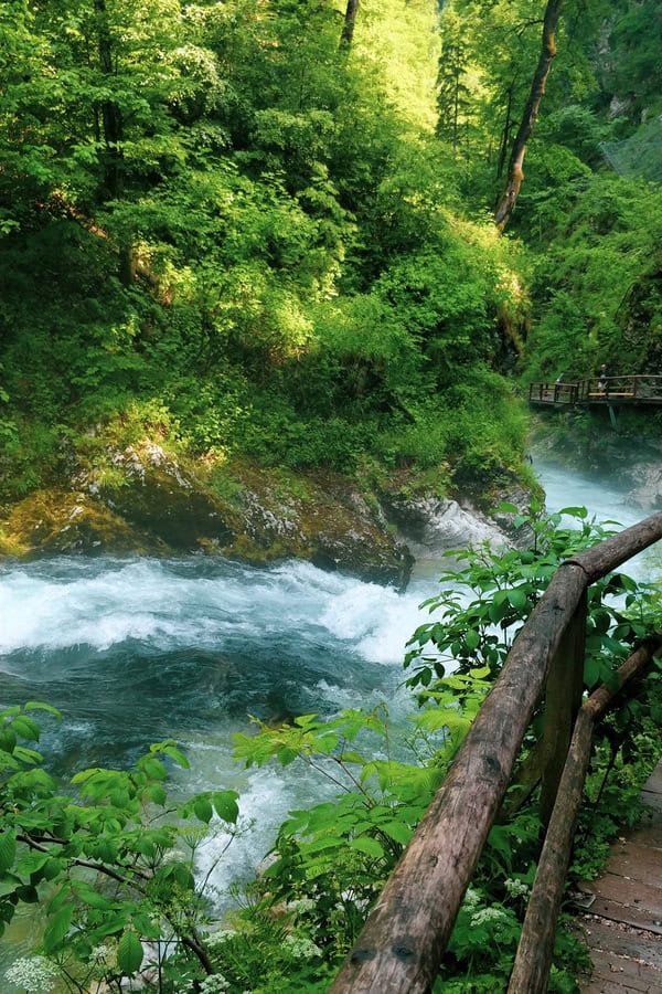 Bled Gorge Blejski Vintgar