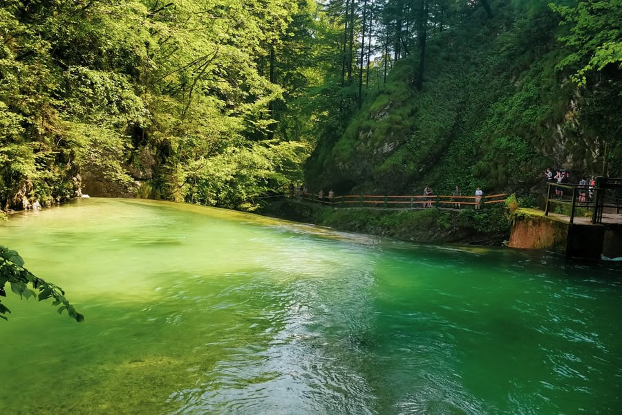 boardwalk along the radovna river vintgar gorge