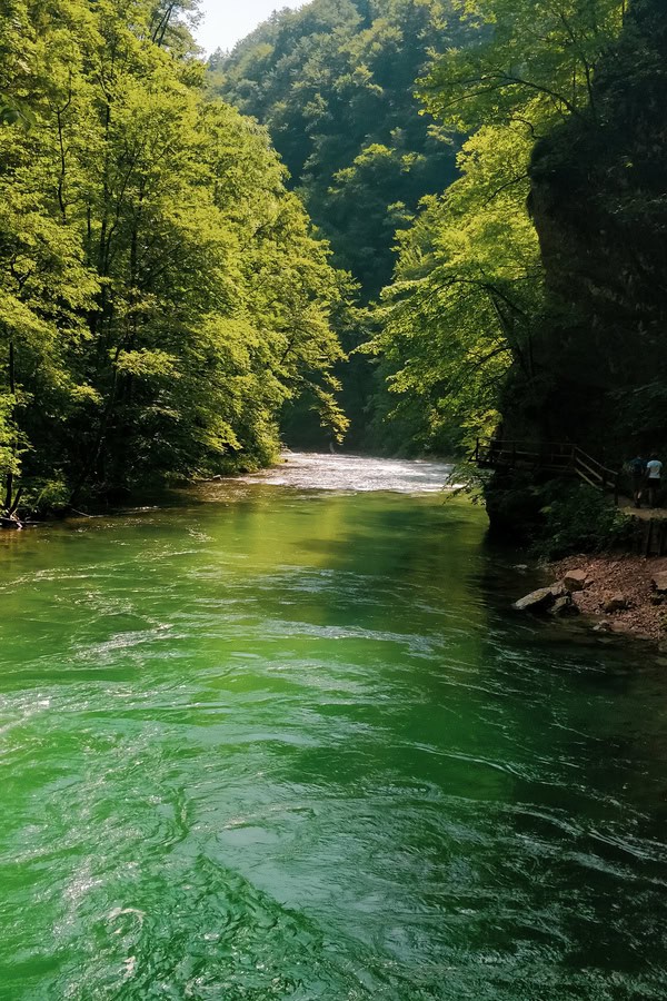 calm radovna river vintgar gorge