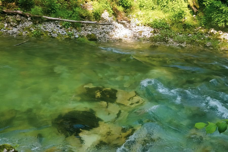 clear water of radovna river