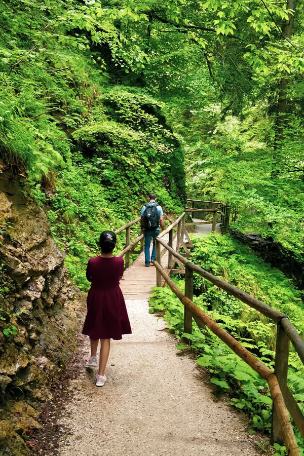 mini-me walking the vintgar gorge bled