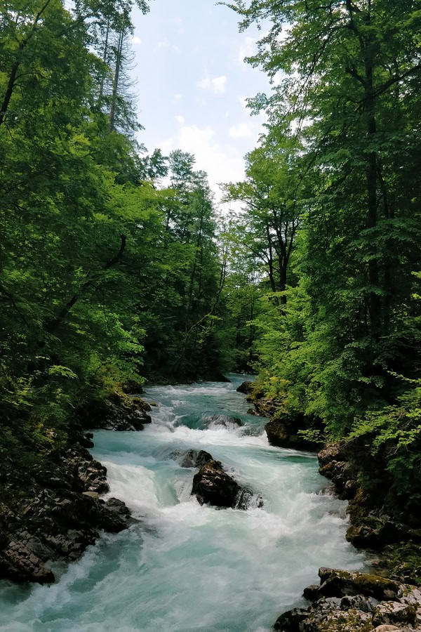 narrow wild radovna river vintgar gorge