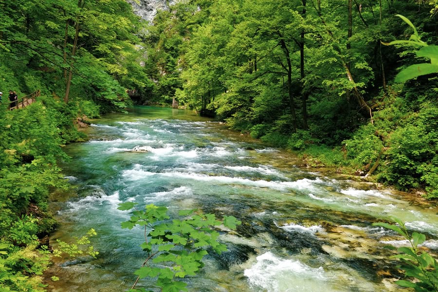 radovna river crystal clear emerald water and lush vegetation 