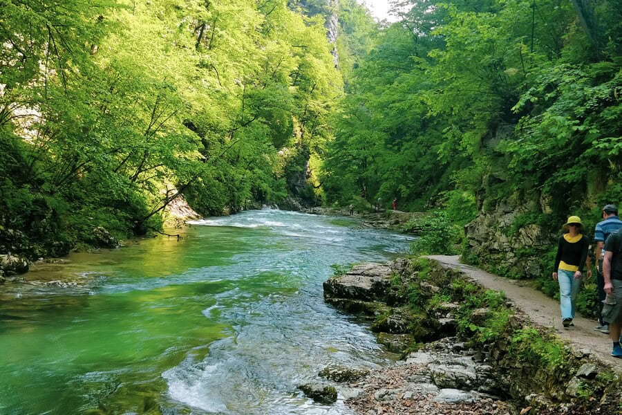 things to do in bled vintgar gorge