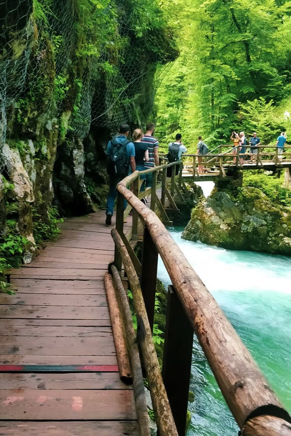 wooden walkways along radovna river soteska vintgar bled