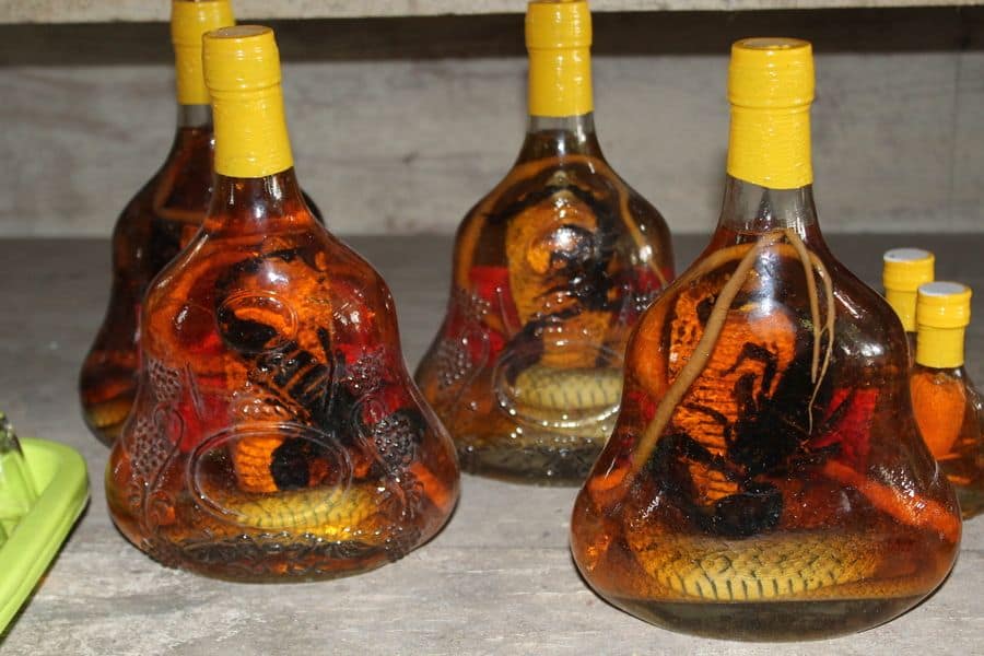 Snake wine at Ho chi Minh