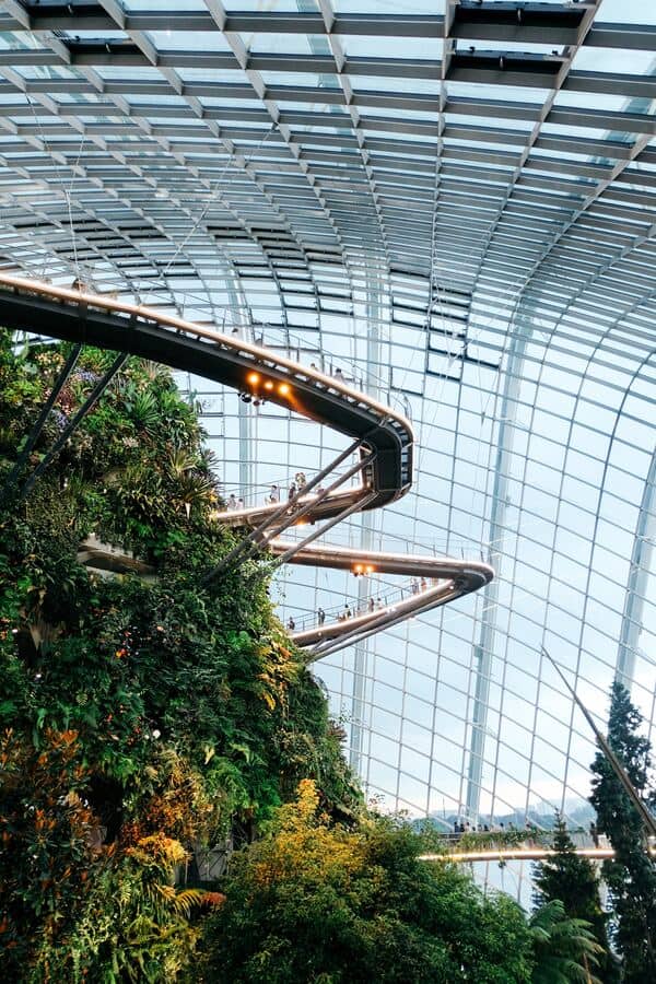 cloud forest gardens by the bay singapore