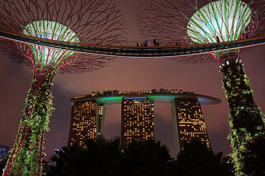 gardens by the bay at night singapore