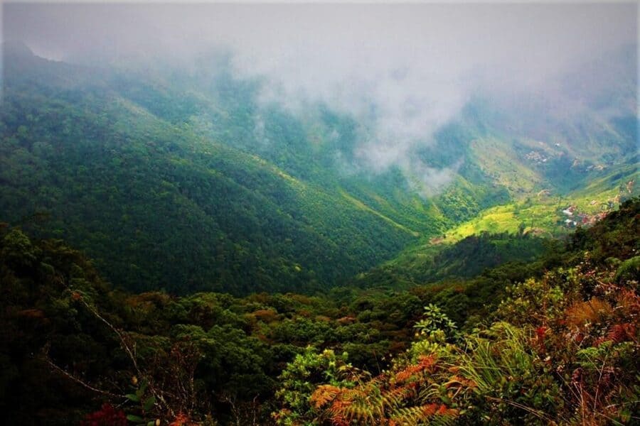 horton plains national park sri lanka itinerary