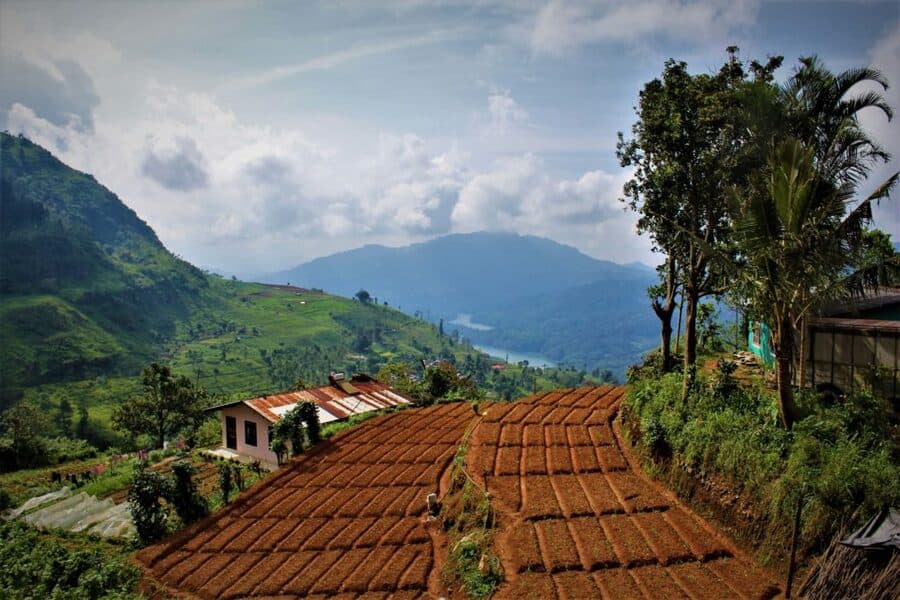 kandy to nuwara eliya road trip