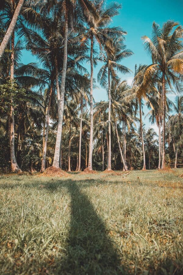 pulau ubin island singapore