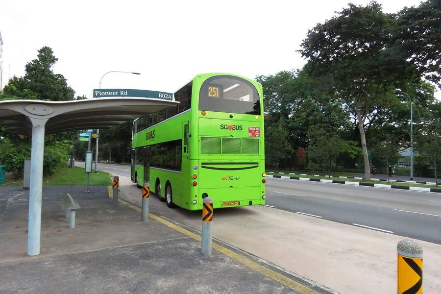 singapore public transport buses