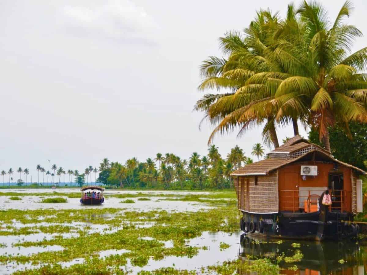 cochin backwaters best places to visit in kochi with family kids kerala