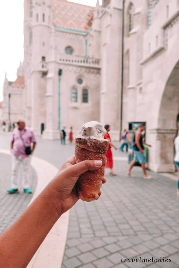 chiomney cake with ice-cream budapest hungary