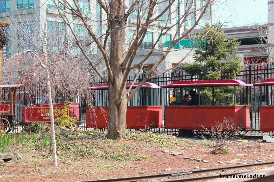 Camdens children garden train ride