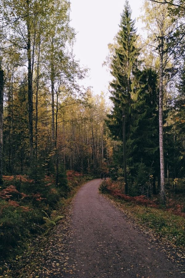 Nuuksio national park in helsinki