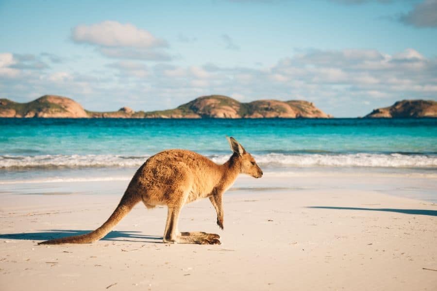 Lucky Bay Cape Range National Park Perth to Esperance Road Trip