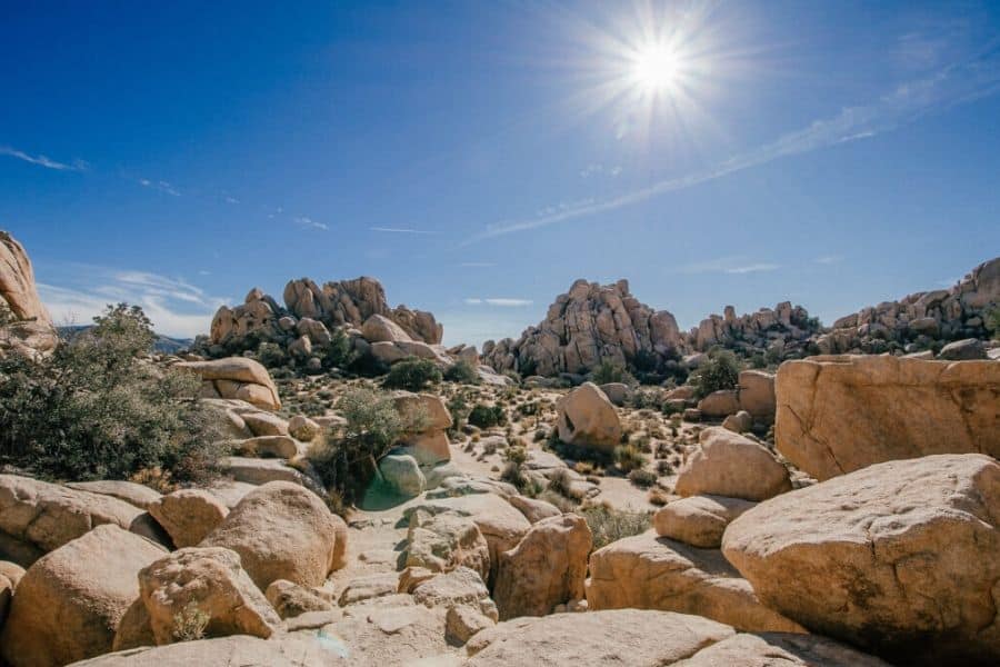 joshua tree national park california the best national parks in the usa