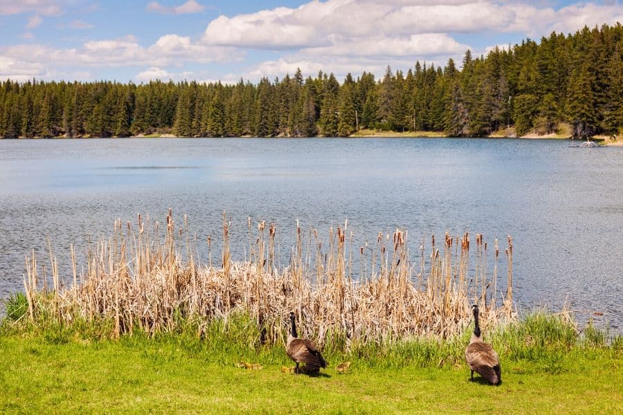 grasslands national park Saskatchewan best national parks in canada for families