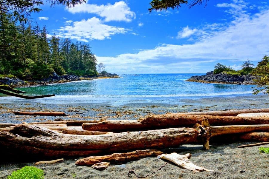 coast of pacific national park vancouver island bc canada