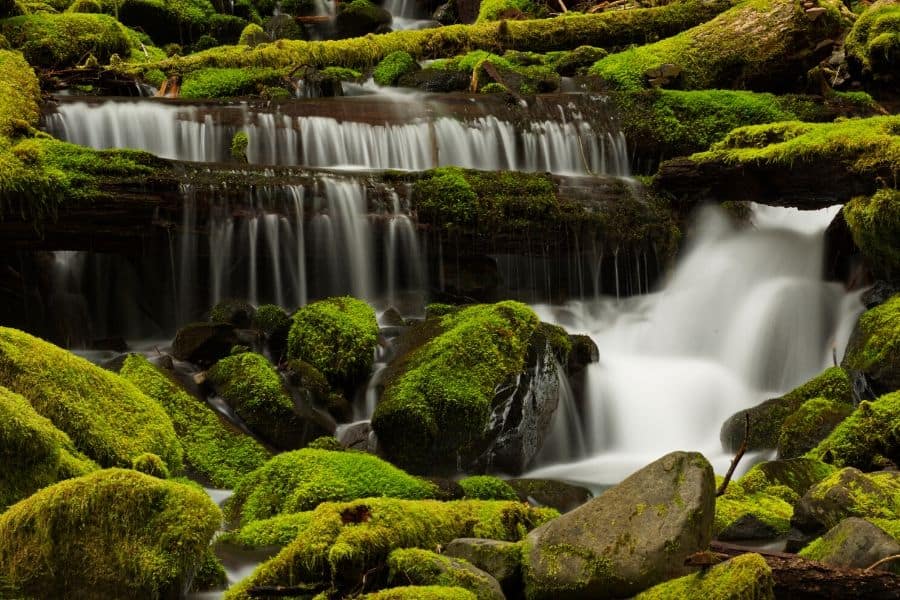 sol duc river trail olympic national park washington usa