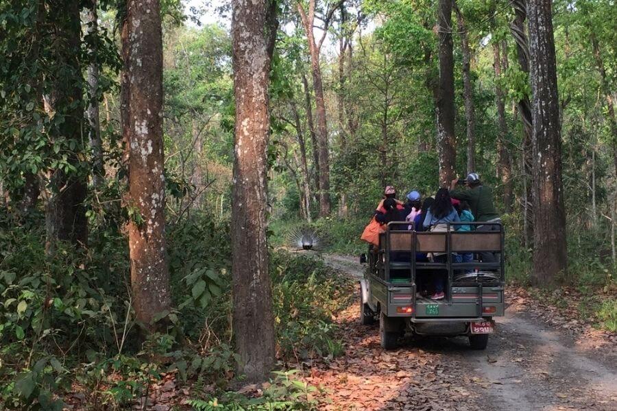 chitwan national park best national parks in the world