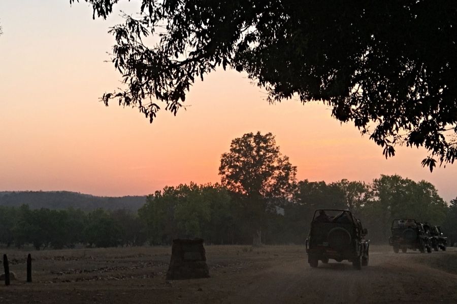 kanha national park at dawn india best national parks in the world