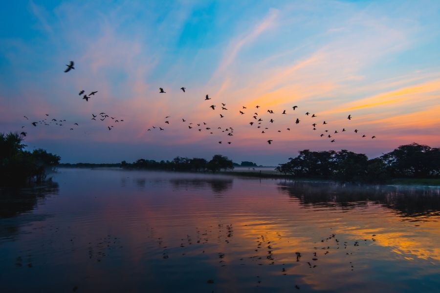 kakadu national park national parks in australia