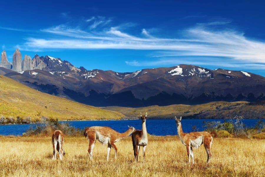 torres del paine national park chile best national parks in the world