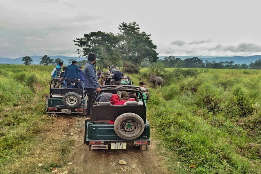 Kaziranga National Park Assam India -Best national parks Travelmelodies