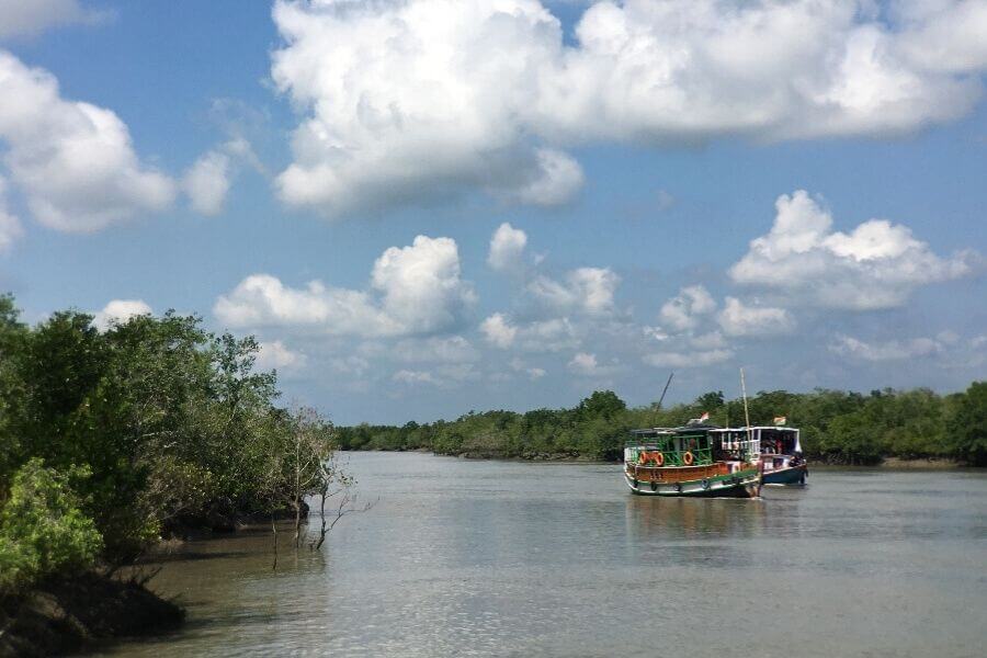 Sundarbans National Park India - largest mangrove in world - Travelmelodies