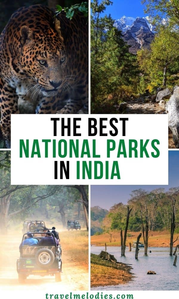 best national parks in india