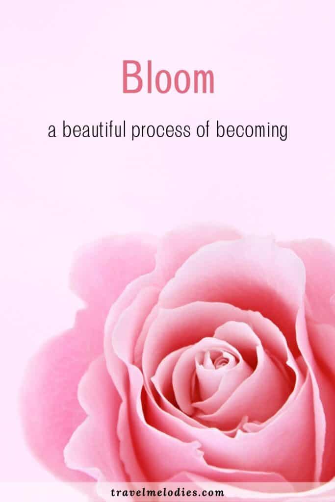 flower blooming quotes