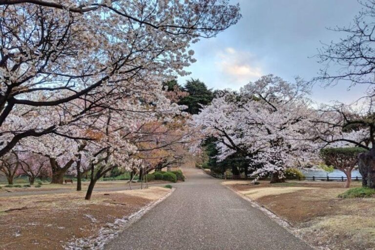 Spring in Asia: Where to Go in Asia in March and April