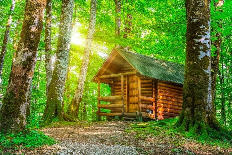 Biogradska Gora National Park best national parks in Montenegro