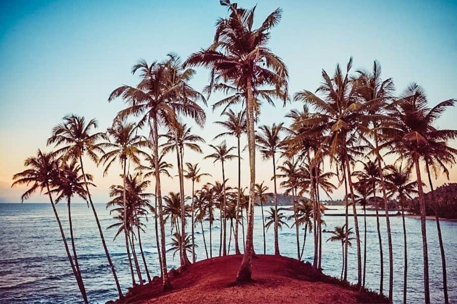 coconut tree hill mirissa top beaches in sri lanka