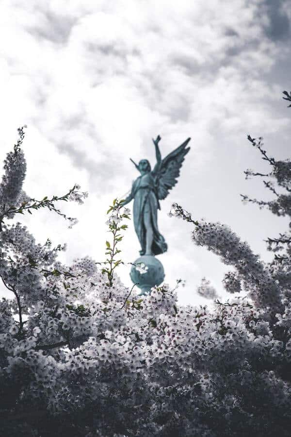 copenhagen denmark spring europe