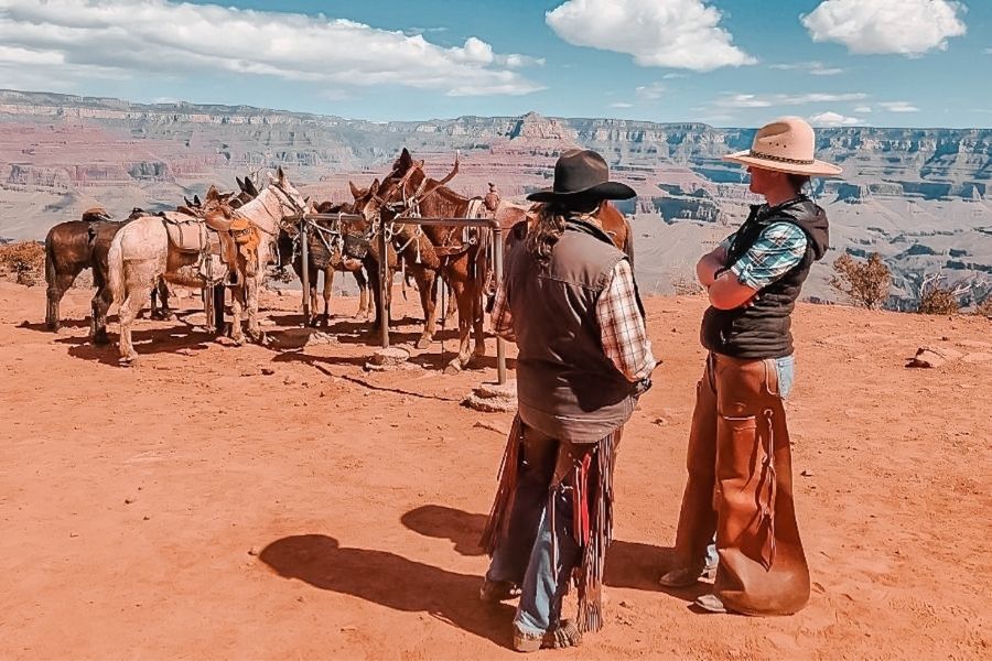 mule trips grand canyon arizona