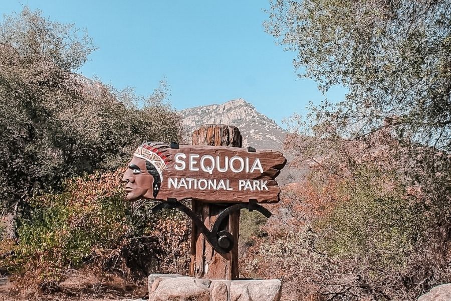 Sequoia National Park California West Coast