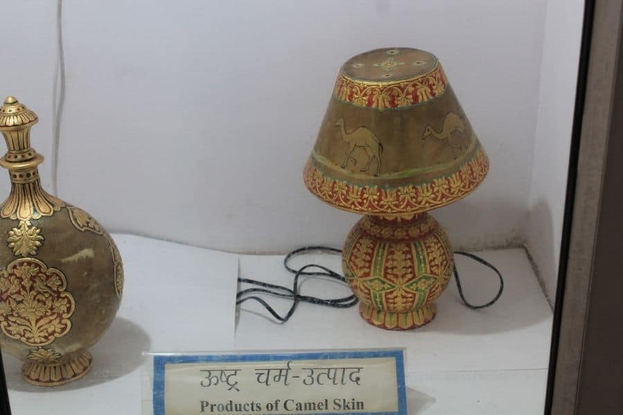 Camel farm bikaner camel products India Travelmelodies