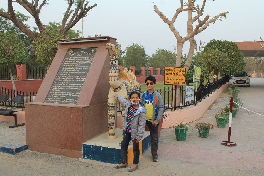 Camel research center Bikaner India Travelmelodies